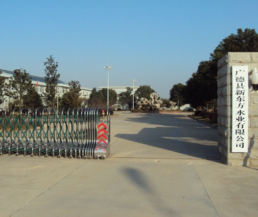 廣德新東方水務(wù)