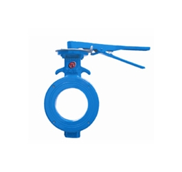 D72X(WBLX)對夾偏心蝶閥