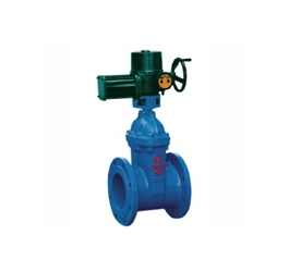 RVEX電動彈性座封閘閥