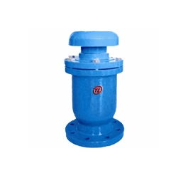 FGP4X復(fù)合式排氣閥(CARX)